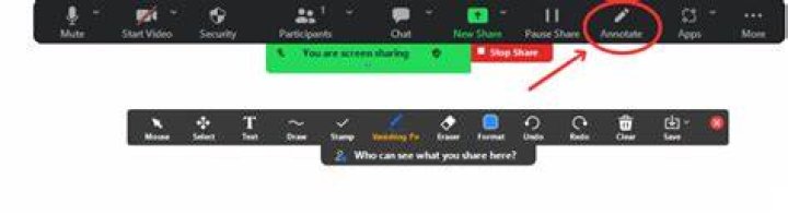 Can zoom hosts see who annotates?