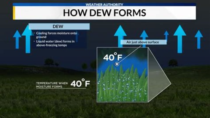 When does dew form?
