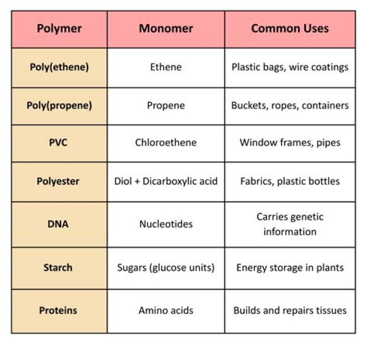Why are monomers and polymers different?